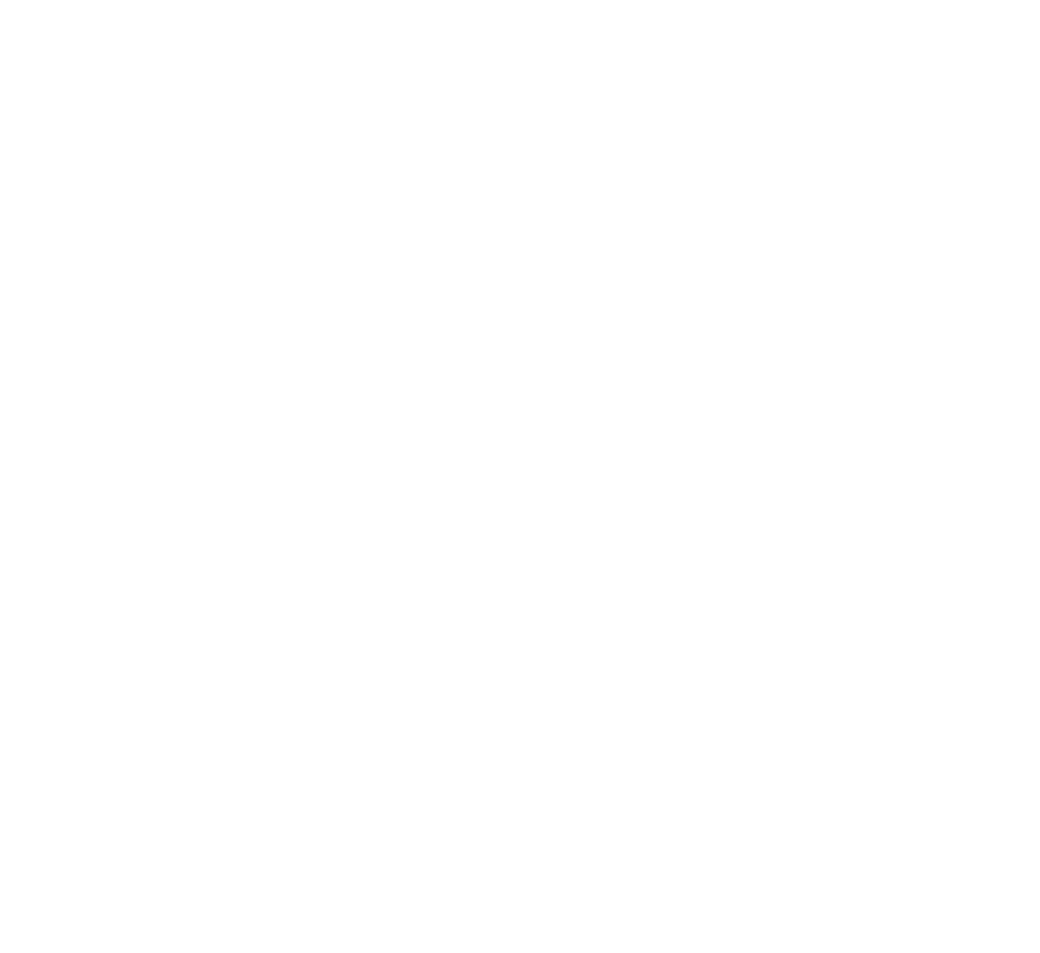 Terry Vehrs