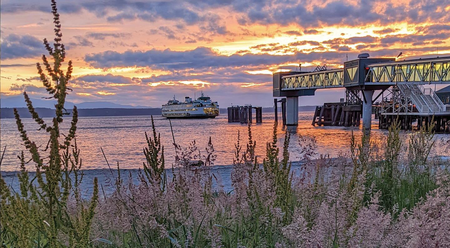 Edmonds WA, Edmonds homes for sale, Edmonds real estate, Edmonds lifestyle, Terry Vehrs