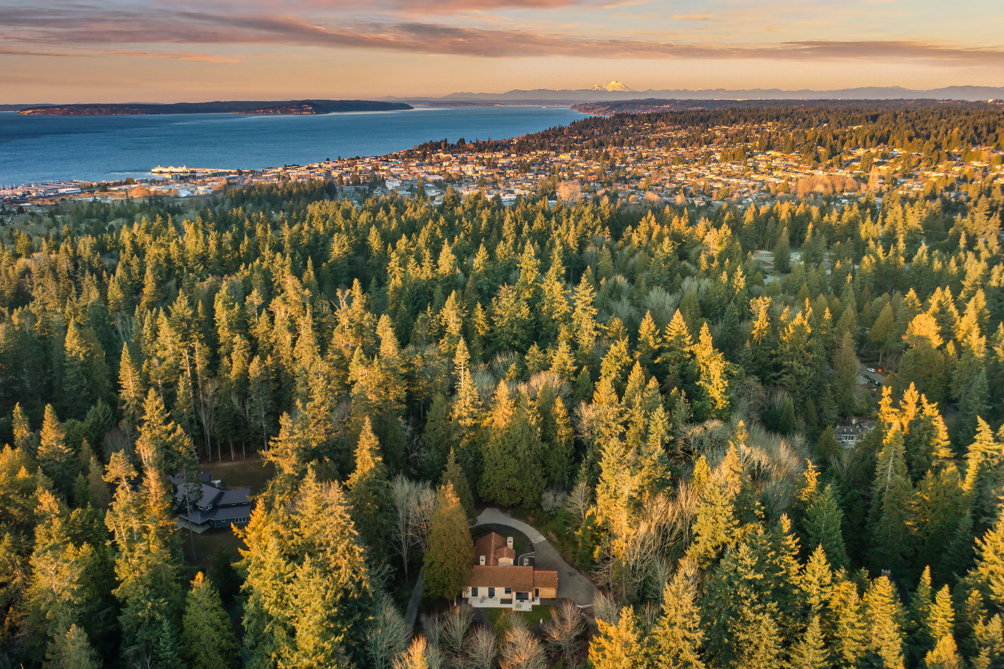 Buying a home in Woodway WA, Woodway WA real estate 2026, Woodway Washington homes for sale, Woodway WA luxury real estate, Town of Woodway real estate agent, Terry Vehrs Windermere Woodway, Woodway WA vs Edmonds real estate, Innis Arden vs Woodway homes, private estate homes South Snohomish County, Woodway WA buyer's guide