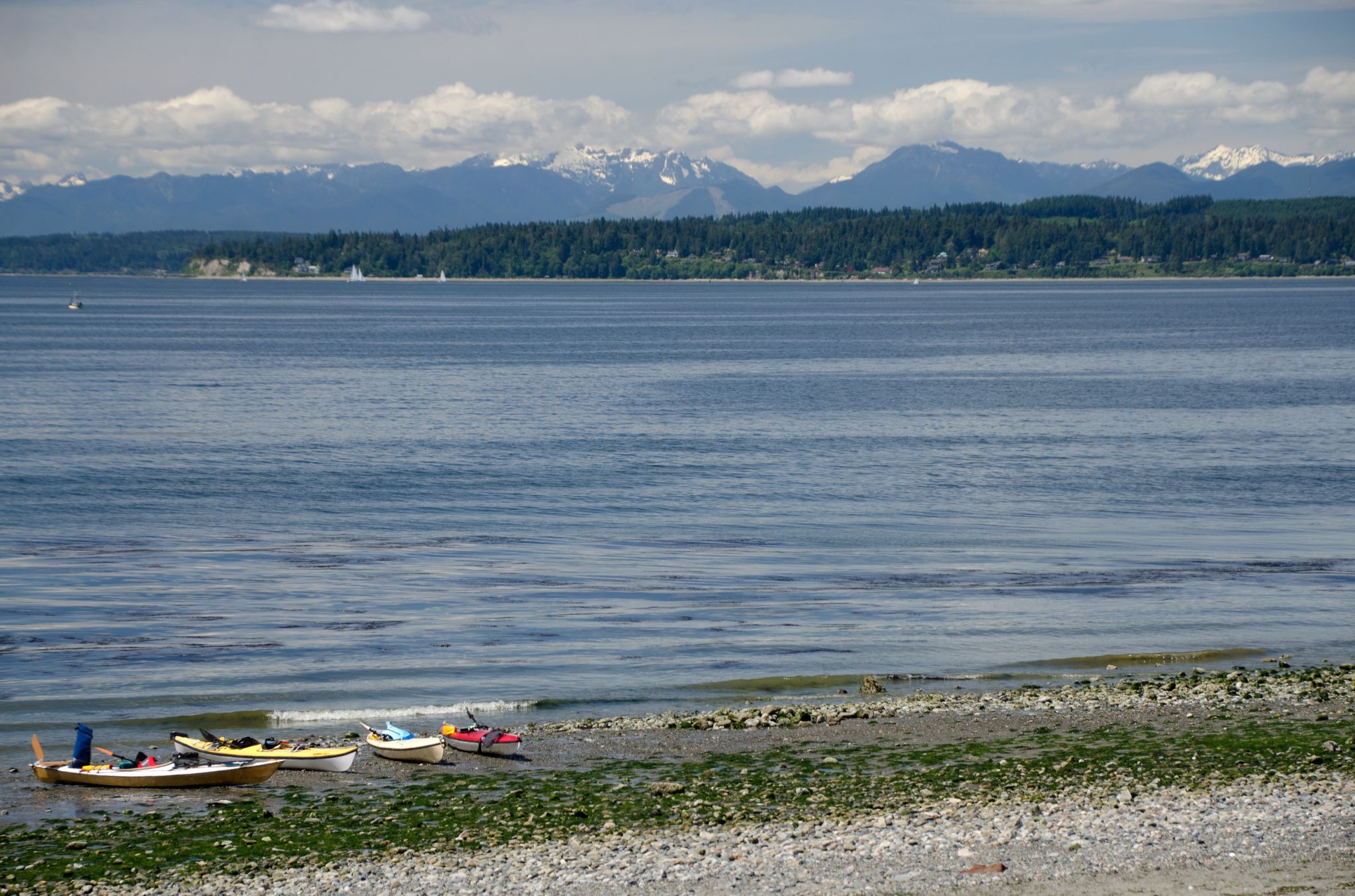 Shoreline real estate, Richmond Beach homes, Shoreline WA 98177 homes, Innis Arden homes, Shoreline WA luxury homes October 2026, Puget Sound view homes Shoreline, Olympic Mountains view from Puget Sound shoreline, Shoreline WA real estate market 2026, Terry Vehrs Windermere Edmonds